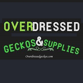 Overdressed Geckos